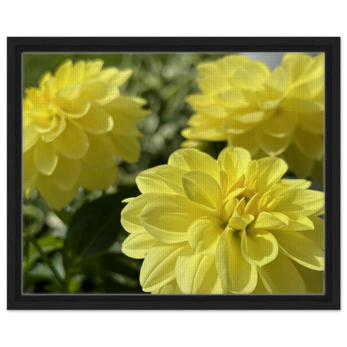 8a330e87-a180-4947-92cb-55b5f1453ed4