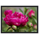 8cda463b-d797-4b25-90c7-6dec6c621268