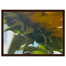 Sunflower close-up in dark walnut frame on canvas