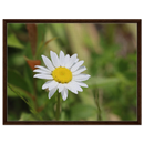 8de71805-f0c1-4952-992d-612673b76c06
