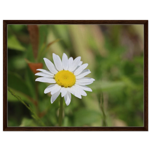 8de71805-f0c1-4952-992d-612673b76c06