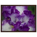 94502383-eed8-41c9-ab31-ce8019cba31e