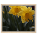 966eddd1-2ea4-4972-ae54-9ec1982c34fb