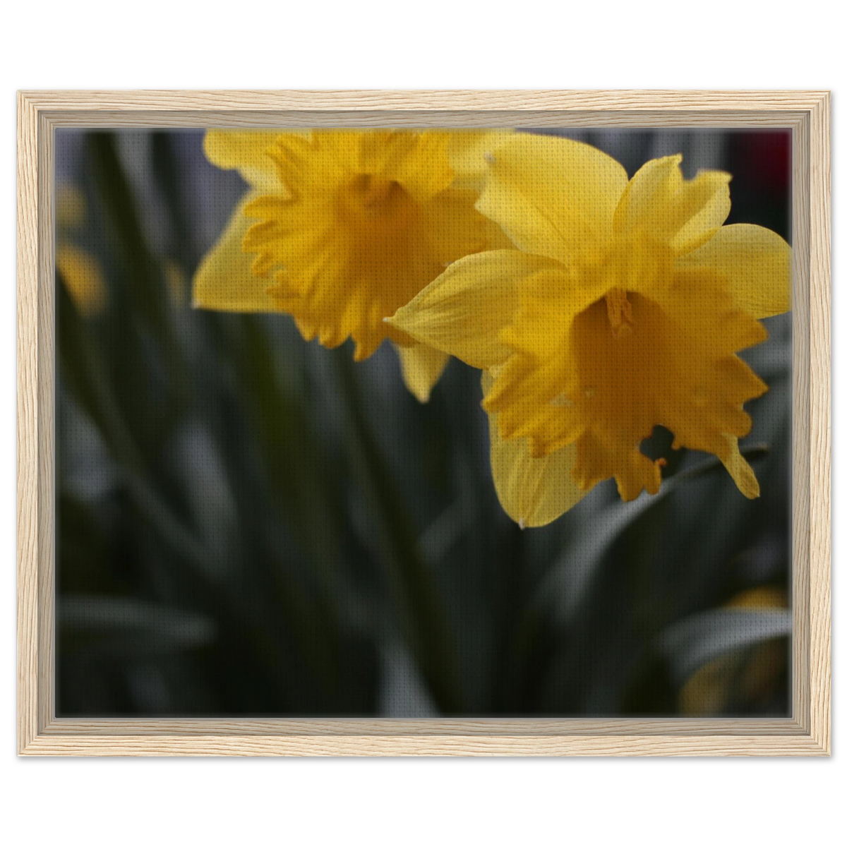 966eddd1-2ea4-4972-ae54-9ec1982c34fb