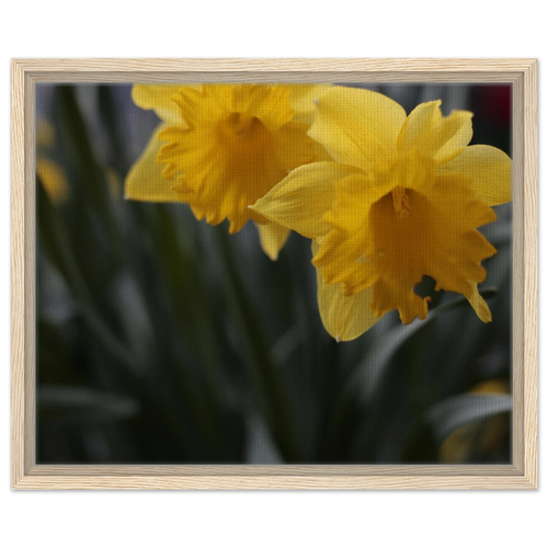 966eddd1-2ea4-4972-ae54-9ec1982c34fb