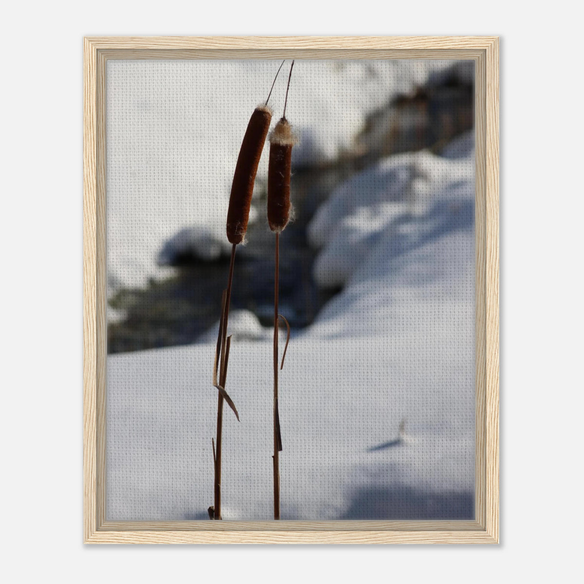 Winter Reeds: Framed Canvas Art with 3 Frame Colors & Multiple Sizes