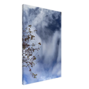 9c2edcbb-0f2b-4bc6-92b8-8886c3bd52e3