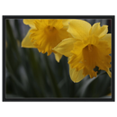 9c755600-fe5d-4eae-be3c-d92a6665a80b
