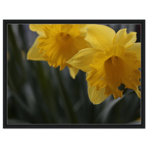 9c755600-fe5d-4eae-be3c-d92a6665a80b