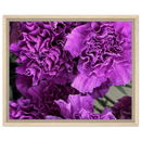 9caeac5f-fd56-449b-b35c-f003398d9549