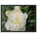 a014c49f-f1f3-40e7-b9fe-98929cfe049b