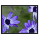 a0664e94-e5f8-4bc7-8f8a-a423b4eb188b