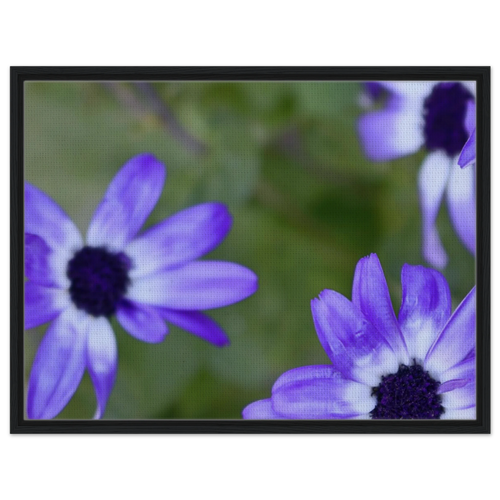 a0664e94-e5f8-4bc7-8f8a-a423b4eb188b