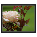 a2ea2228-0e64-44cd-86b1-ec01fd5a4015