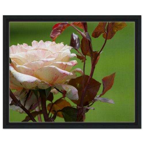 a2ea2228-0e64-44cd-86b1-ec01fd5a4015