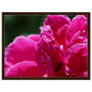 a437a573-ba54-47c9-9a24-5716930487b7