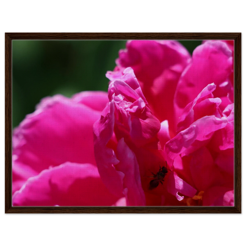 a437a573-ba54-47c9-9a24-5716930487b7