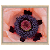Vibrant Poppy Bloom Framed Canvas Art - Elegant Botanical Decor in Your Choice of Frame & Size