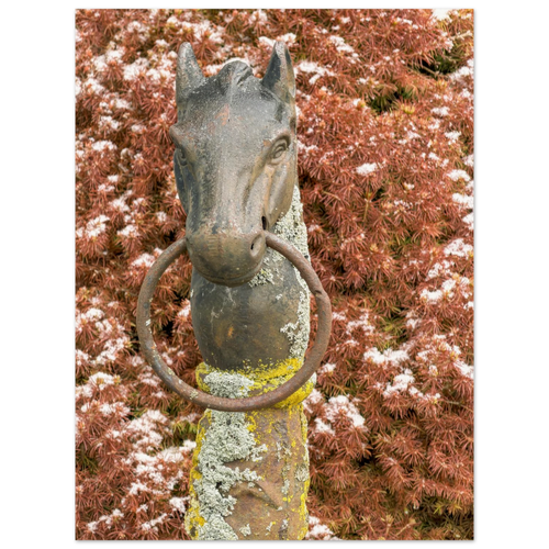 Fine art print of a moss-covered horse hitching post against reddish foliage