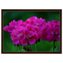 a7845de7-db2e-4af1-9d2d-cde22730bc8e