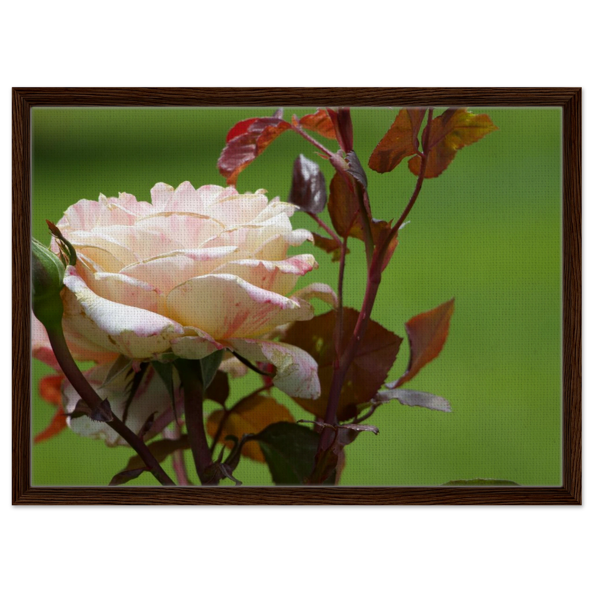 a7a7f81b-dd1f-4370-b369-0e1e9cd3552c