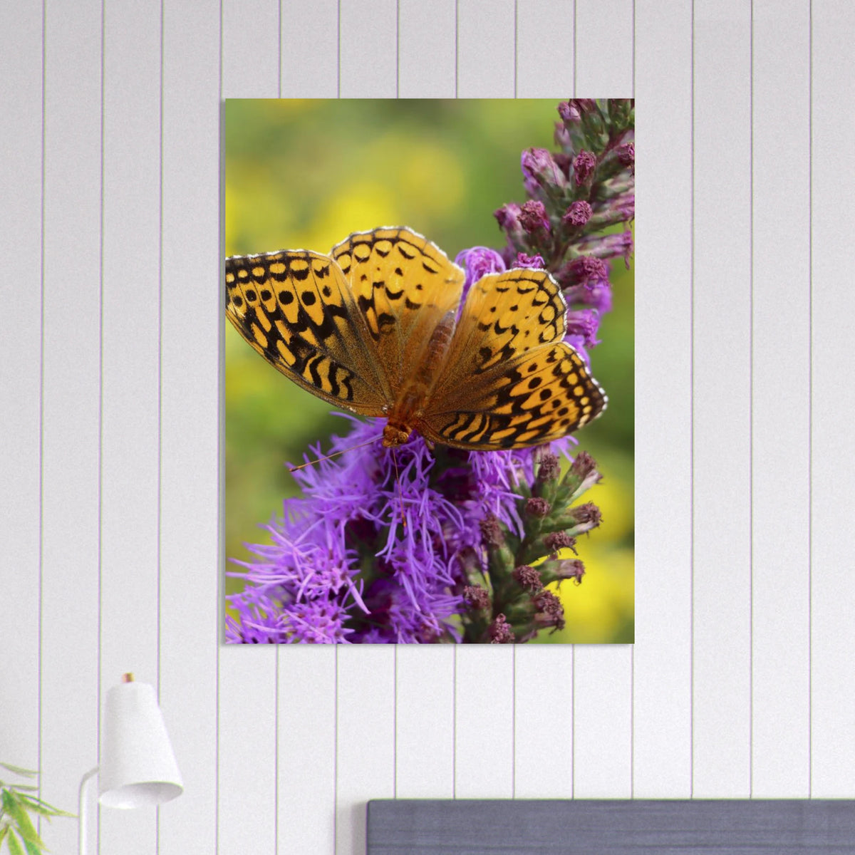 Butterfly Meadow Fine Art Print