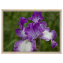 b5f33950-41c2-44bc-a5bc-4df3c594cf2c