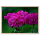 b6b06aae-b0eb-4ff4-969b-fb59cfede163