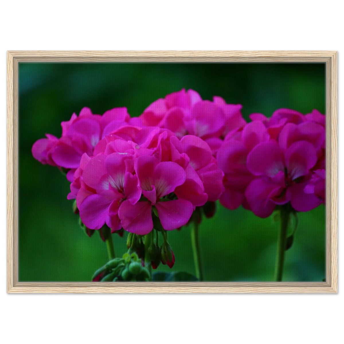 b6b06aae-b0eb-4ff4-969b-fb59cfede163