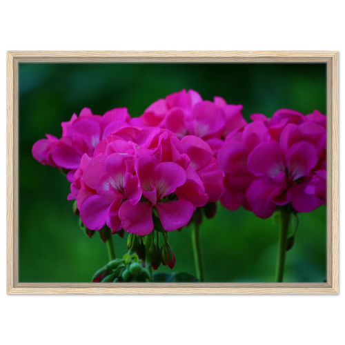 b6b06aae-b0eb-4ff4-969b-fb59cfede163