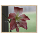 b6dcbb8e-02cc-436f-8ca6-7b8a372b9f43