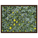 b84c26e9-34b2-4f2c-bf72-64e8647d7a0c