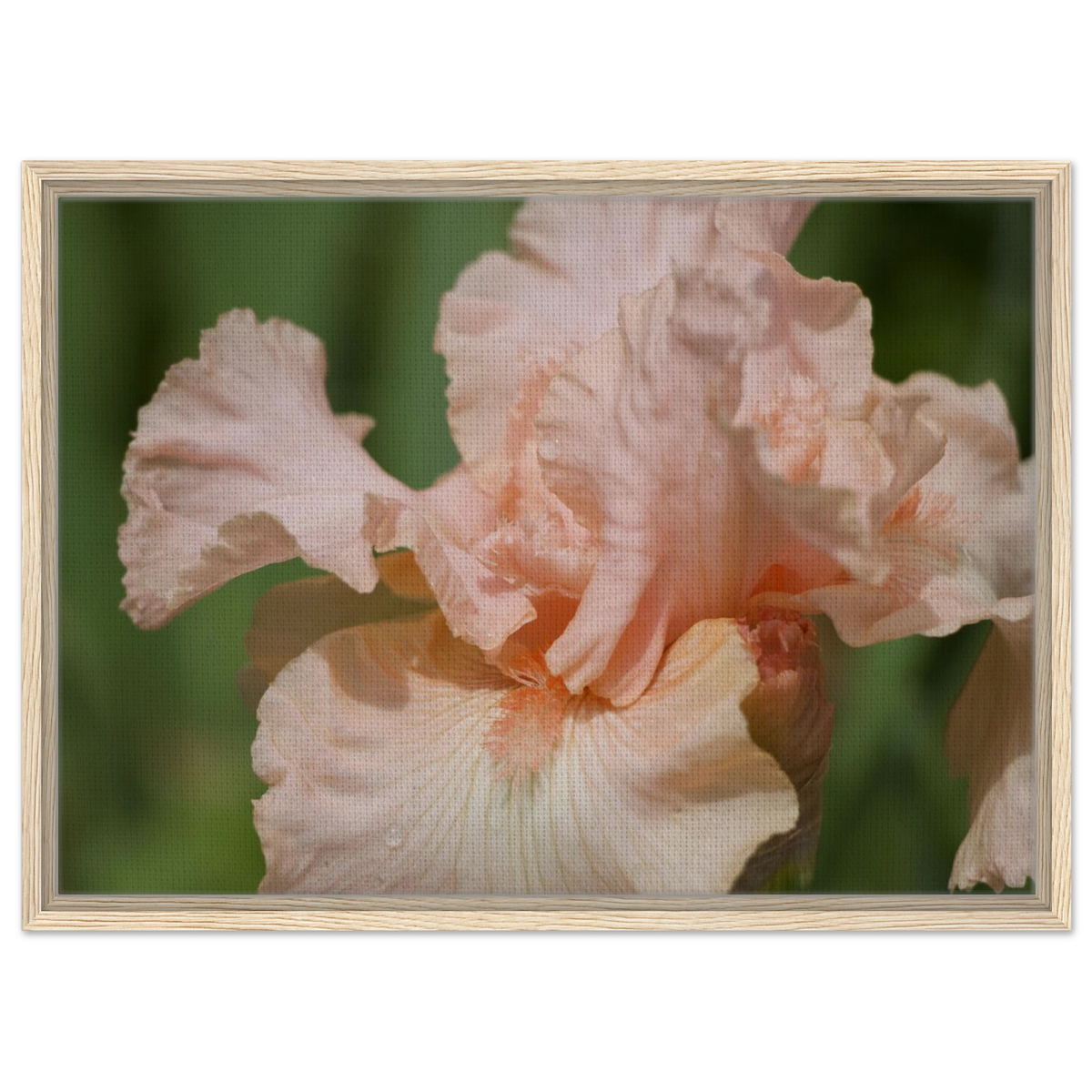 ba179729-7092-4818-b7a1-b1b22d6bfcbf