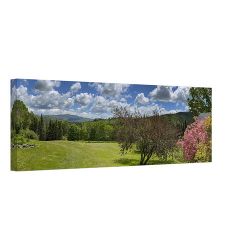 Slim side view of canvas artwork displaying rolling hills and blooming tree in a spring setting