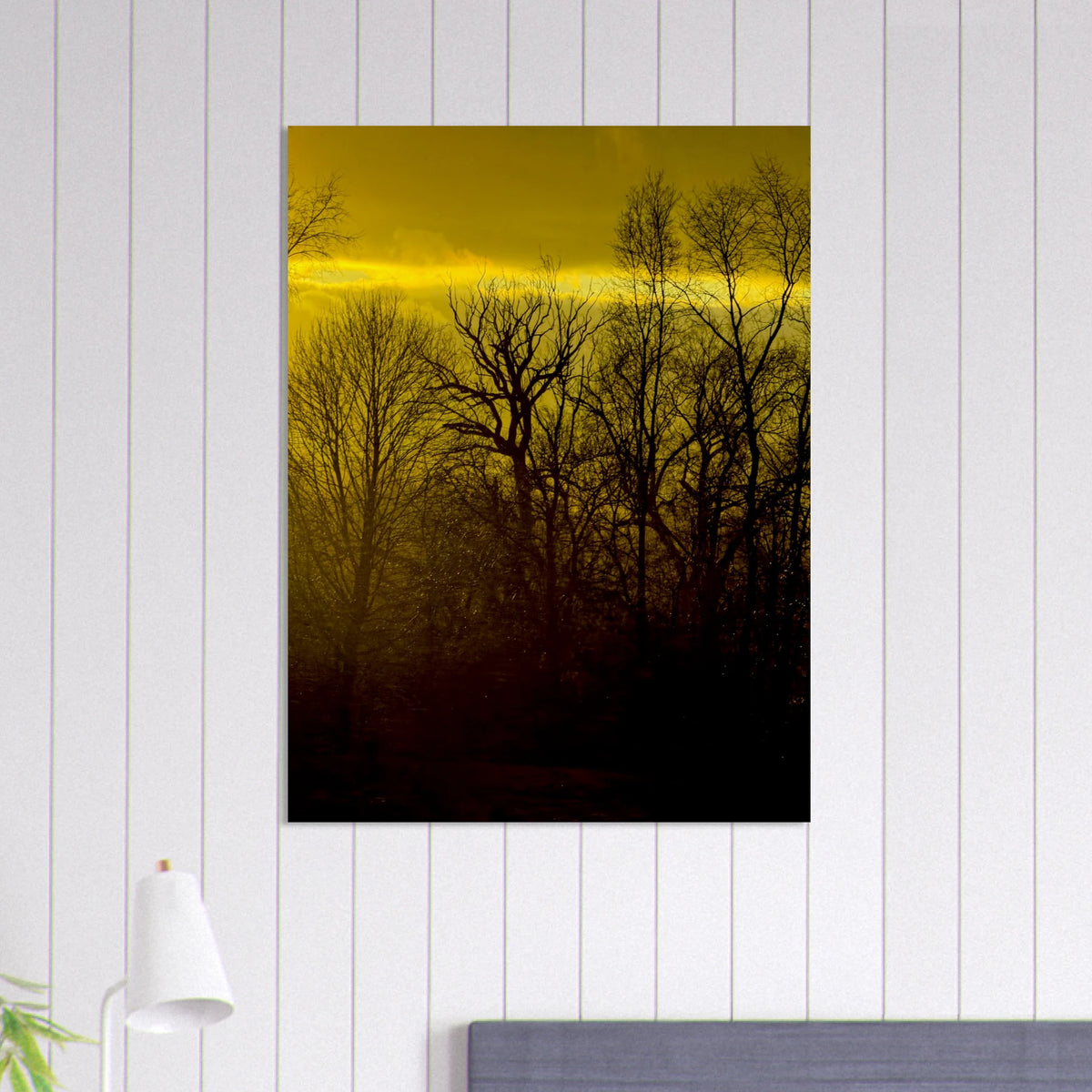 Golden Hour Forest Fine Art Print