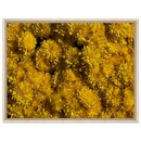 c0fadf96-f4ce-406a-87e0-8694bd825161