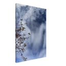 c1a2d1e3-023b-4517-95bb-174bf785cd63