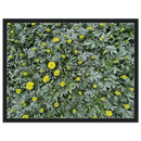 c2069d1f-b14b-4d85-ac73-fd7f19ddb893