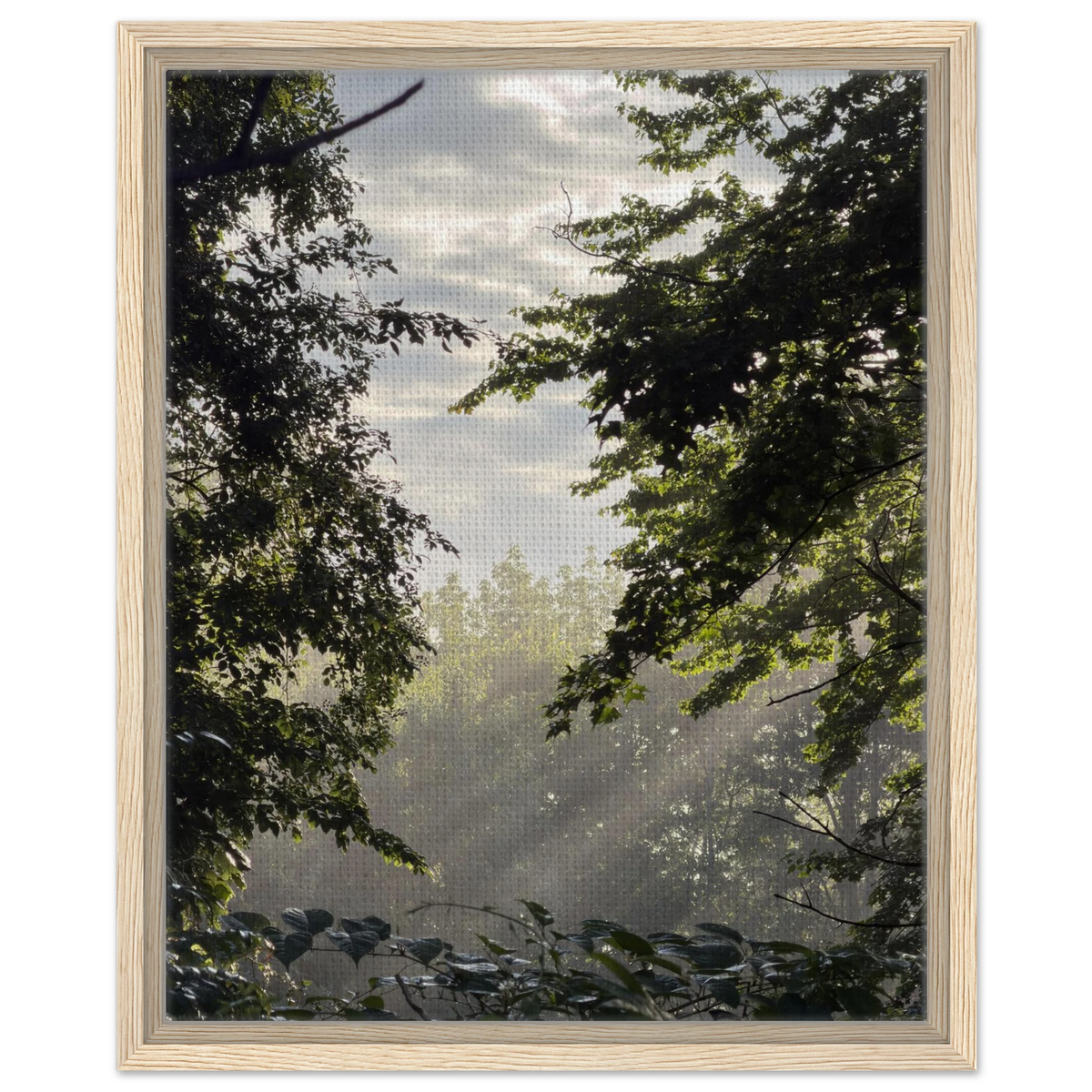 c2271fa1-de0b-4503-9179-696e5c1e6b53