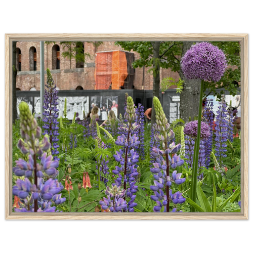 Canvas wall art of purple lupine and allium flowers in a natural wood frame