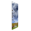 c5676b45-fe59-4572-8b1a-be0c859b6277