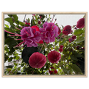 c77411f6-9bf1-4adf-9210-2e2ac3095acc