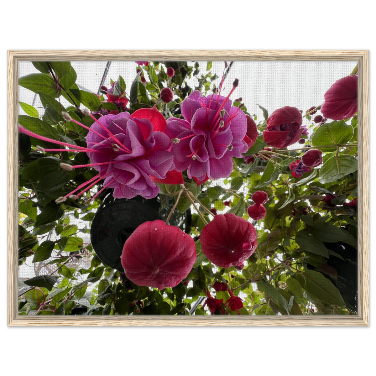 c77411f6-9bf1-4adf-9210-2e2ac3095acc