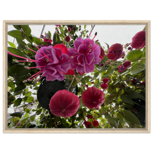 c77411f6-9bf1-4adf-9210-2e2ac3095acc