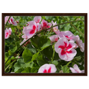c7923184-7078-4160-a676-9c4b1527de5c