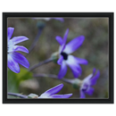 Framed canvas artwork featuring purple daisies in a matte black frame
