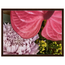 c9533564-16a0-479a-9adf-5459f58e02ea