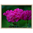 ca1a59f0-f17f-4607-b6a8-d546859127da