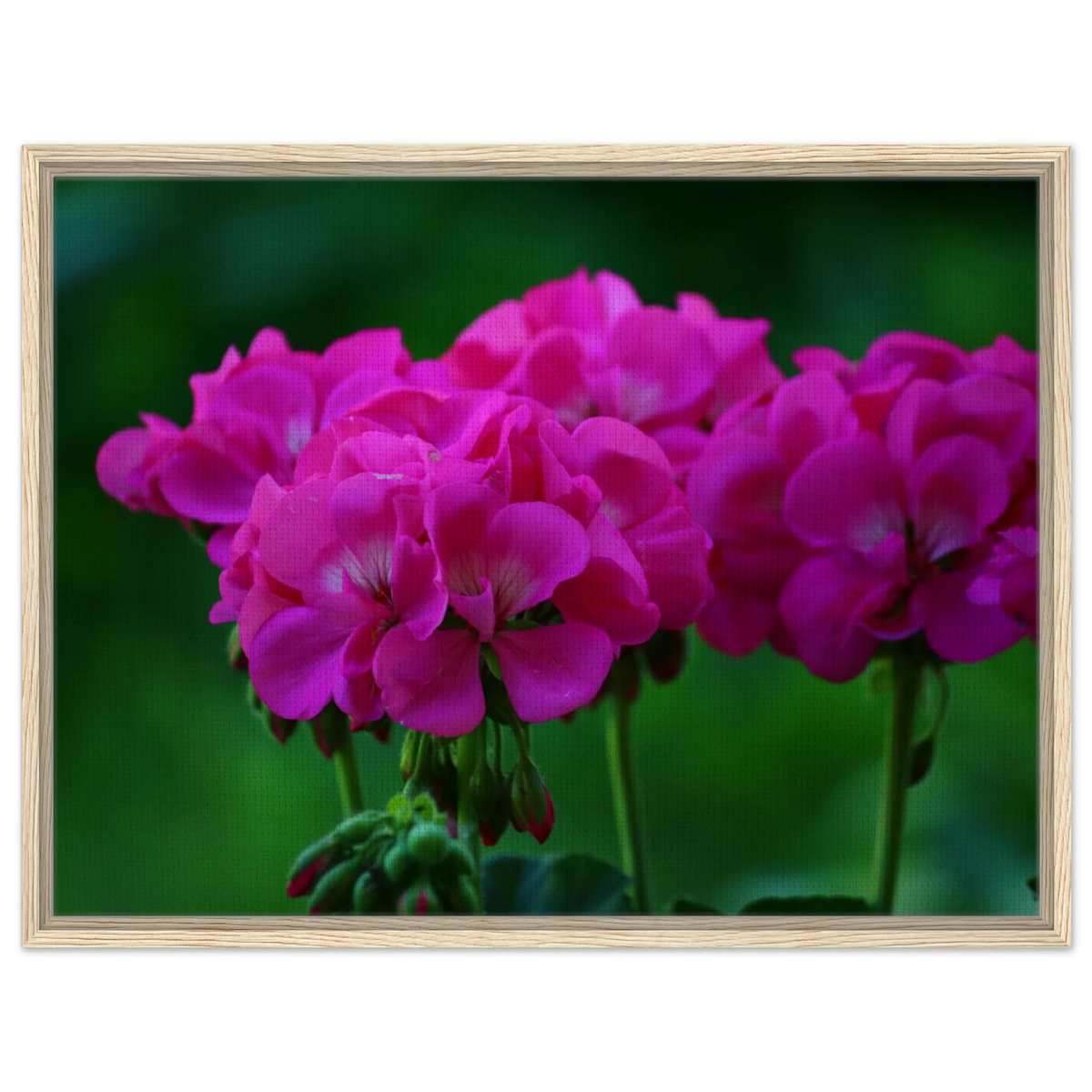 ca1a59f0-f17f-4607-b6a8-d546859127da