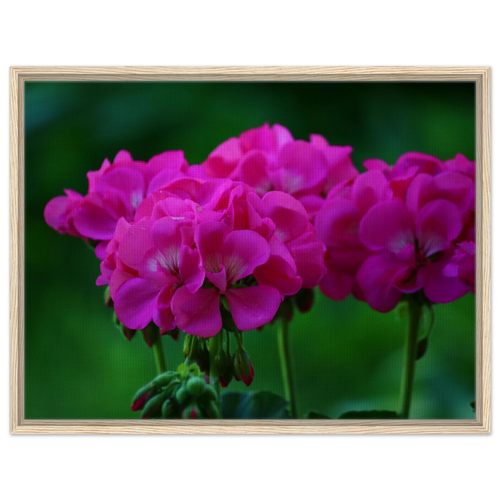 ca1a59f0-f17f-4607-b6a8-d546859127da
